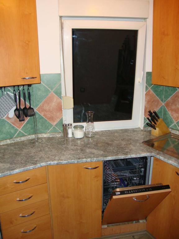 Kuchyň nebo kuchyňský kout v ubytování Prázdninový dům u lesa