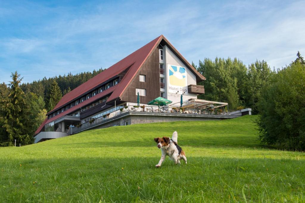 a dog running in the grass in front of a building at Hotel Duo in Horní Bečva