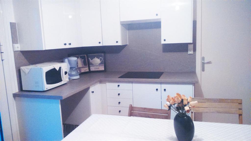 Kuchyň nebo kuchyňský kout v ubytování Loft sympa à Sassenage