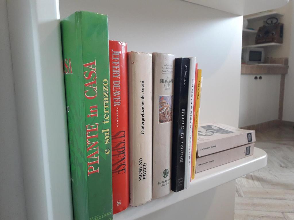The library in Az apartmant