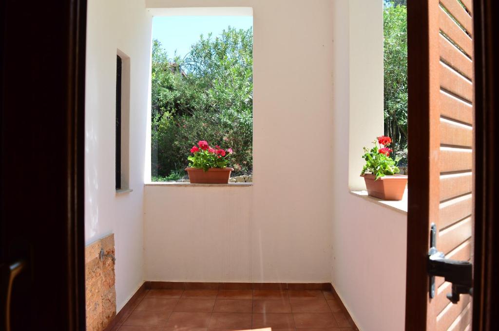 a hallway with two windows and two potted plants at Marvelous Sea View Eco Apt in Ammouliani