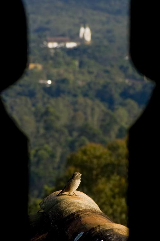  Pouso da Torre