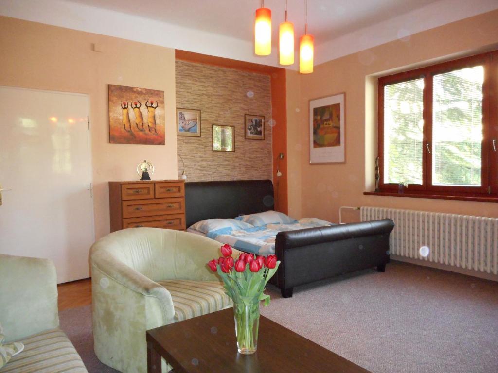 Posezení v ubytování Apartmán Dobrá Naděje