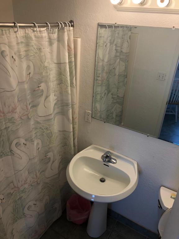 Koupelna v ubytování Apollo Motel