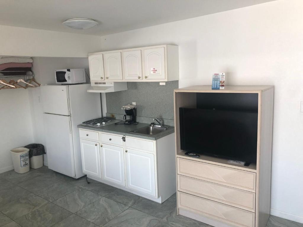 Kuchyň nebo kuchyňský kout v ubytování Apollo Motel