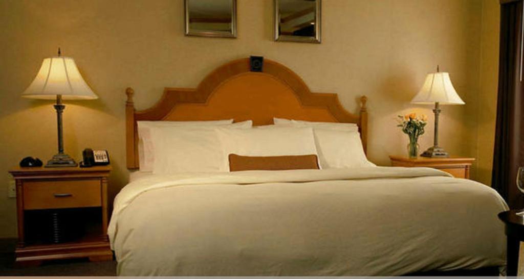 Ambassador Hotel Milwaukee, Trademark Collection by Wyndham - Queen Room - No Fumar