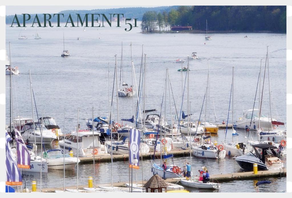 a group of boats docked at a dock in the water at Apartament51 in Mikołajki