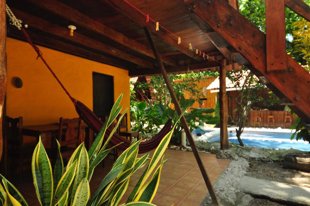 Zahrada ubytování Howler Monkey Hotel