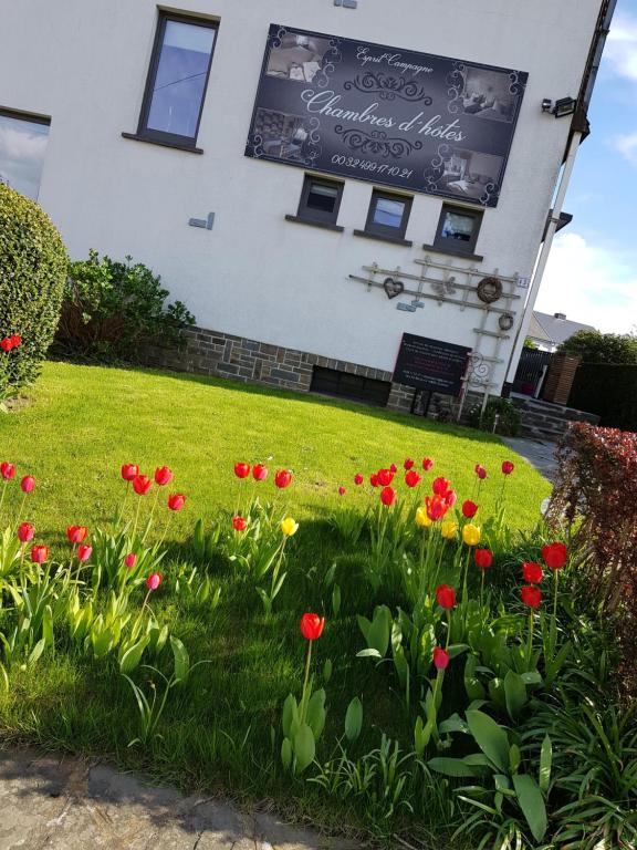 Derechos de imagen reservados por Booking.com