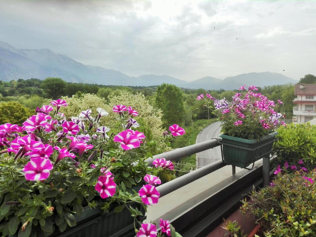 a balcony with pink flowers and mountains in the background at Attico D'Andrea in Pratola Peligna