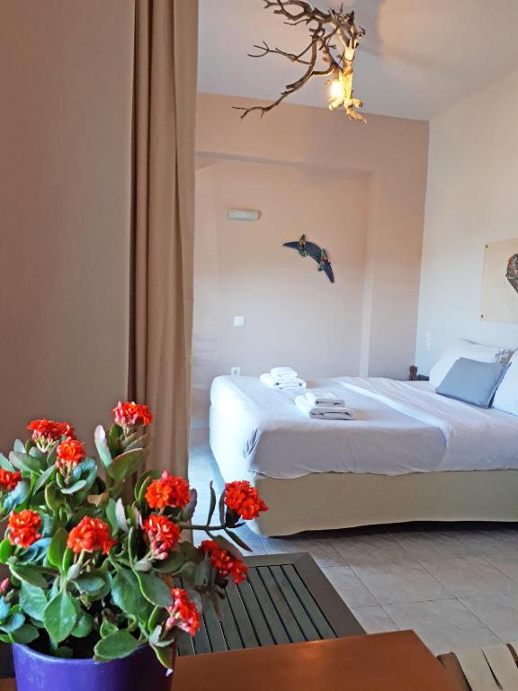 Arodamos Studios & Apts - 4