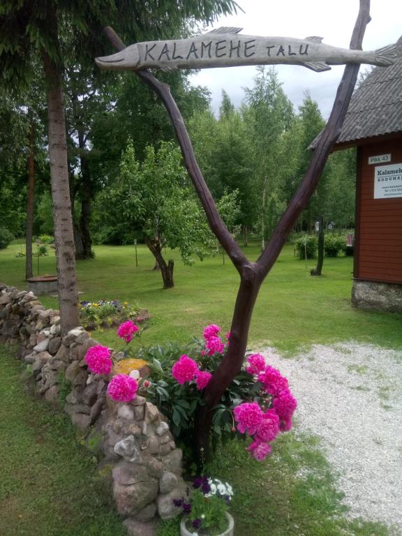 Zahrada ubytování Kalamehe Farmstay