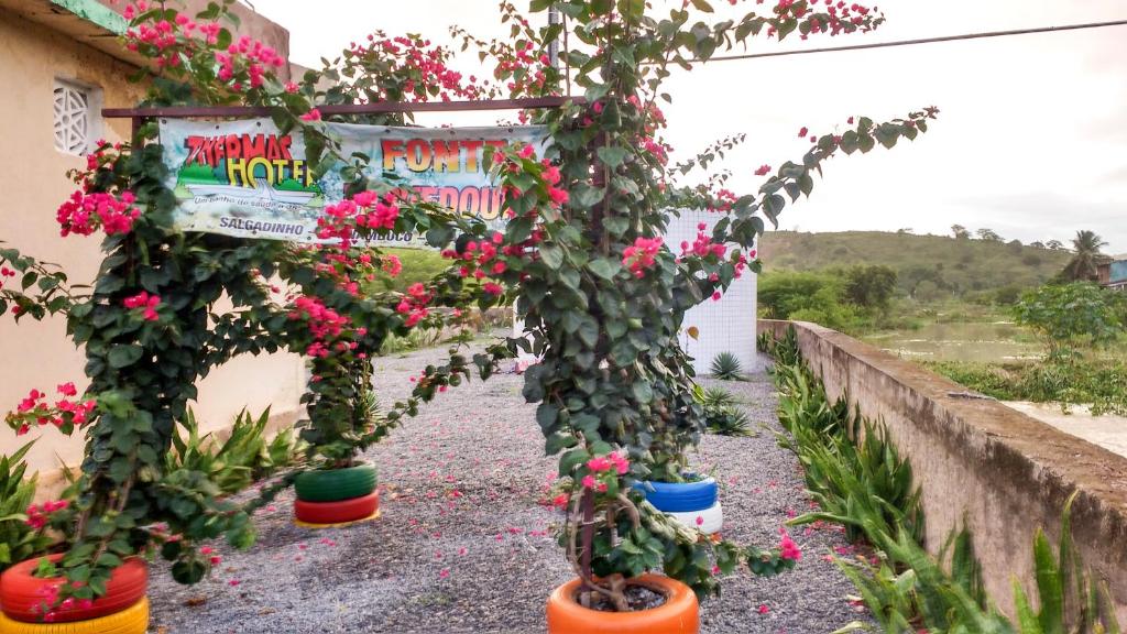  Thermas Hotel