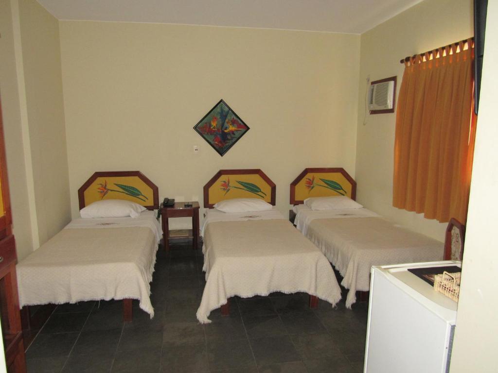  Alfenas Palace Hotel