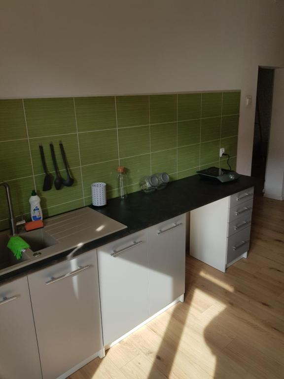Kuchyň nebo kuchyňský kout v ubytování Kaktus Guest House