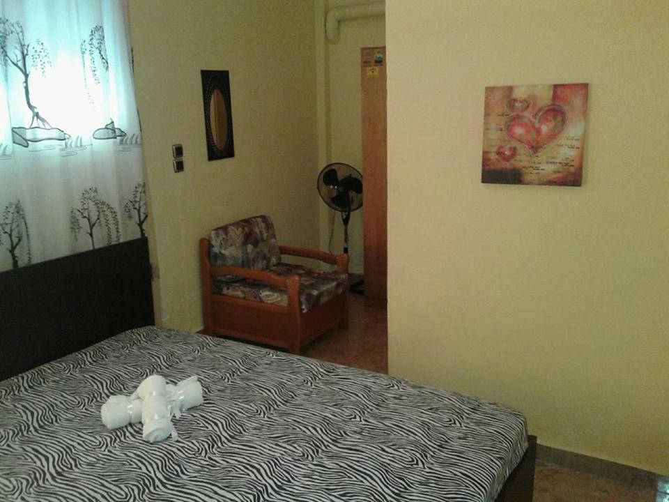 Łóżko lub łóżka w pokoju w obiekcie Gatos Apartment