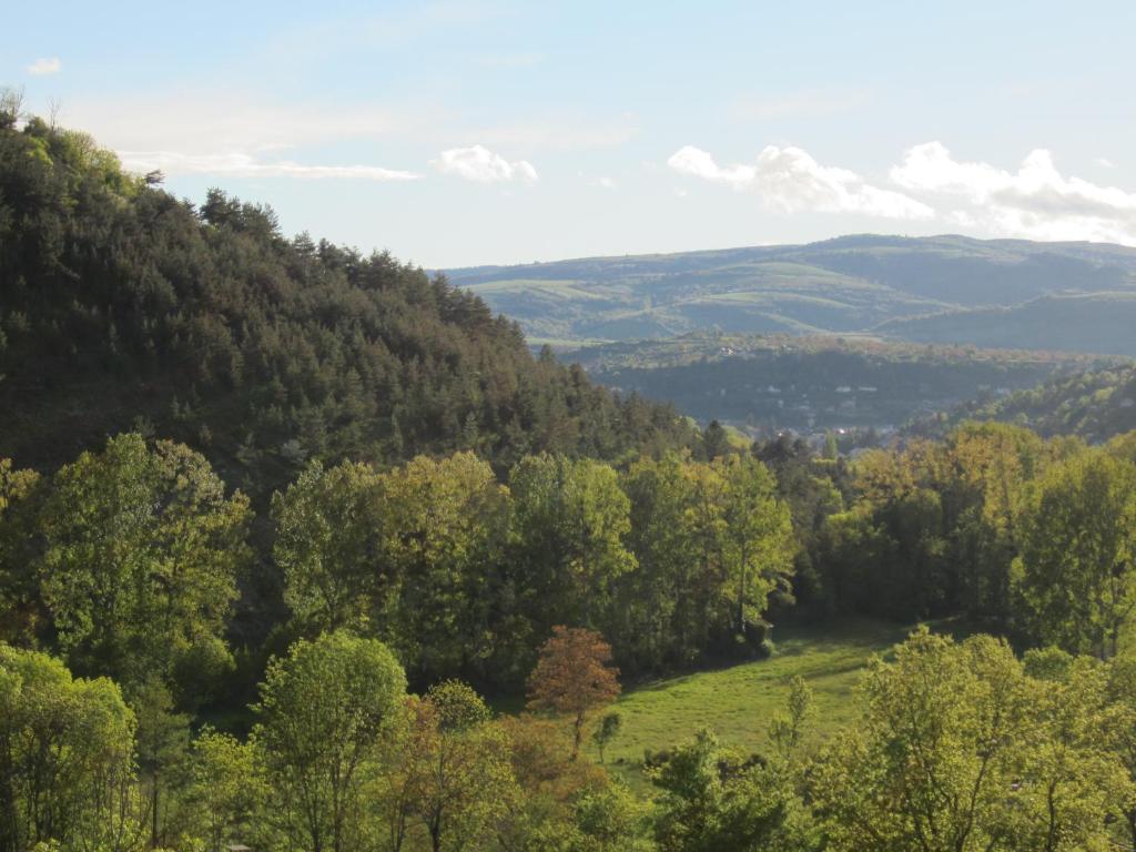 uma vista para um vale com árvores e montanhas em Lauz'oustal em Montrodat