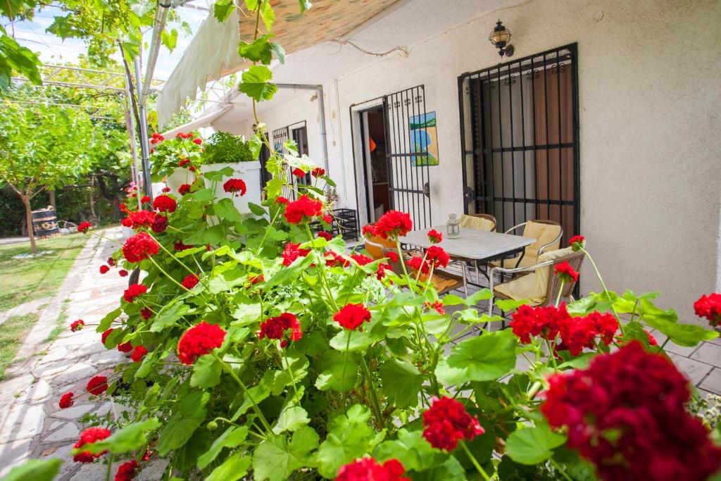Zahrada ubytování Nakou House