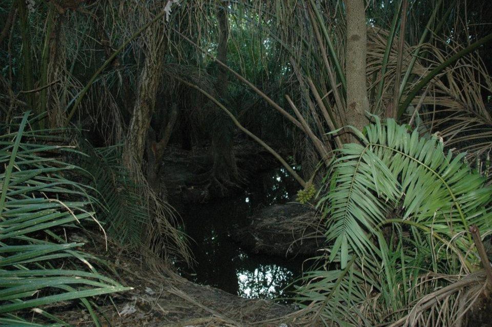  Pantanal Ranch Meia Lua