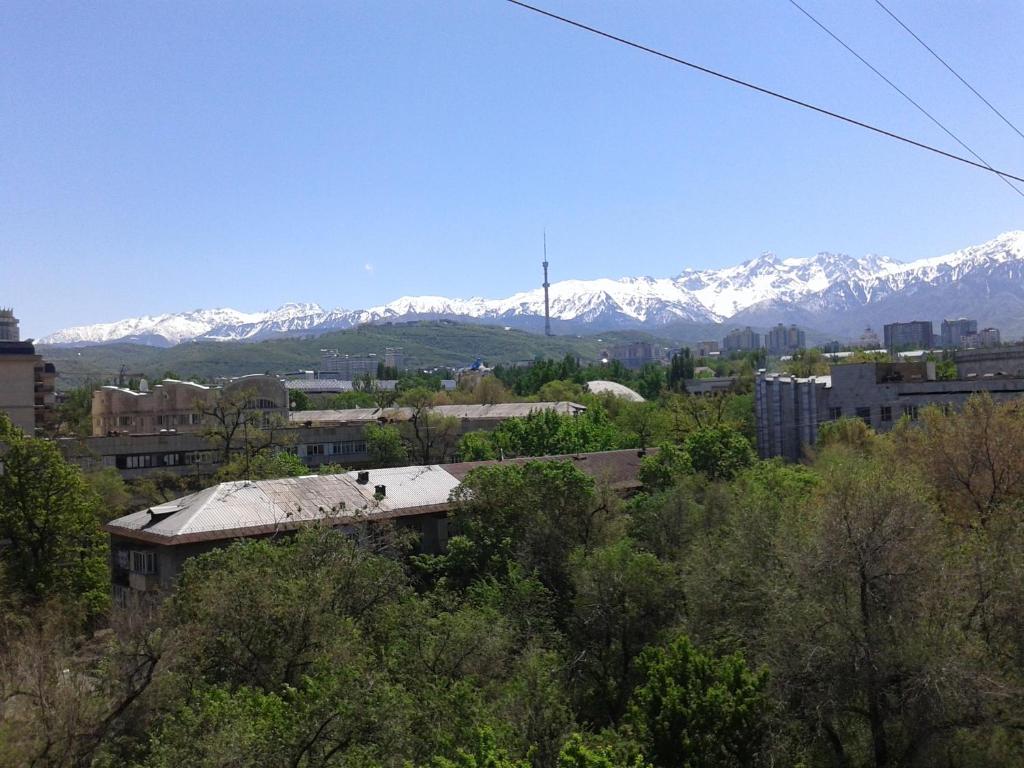 vistas a una ciudad con montañas cubiertas de nieve en Apartment Shevchenko Panfilova en Almaty