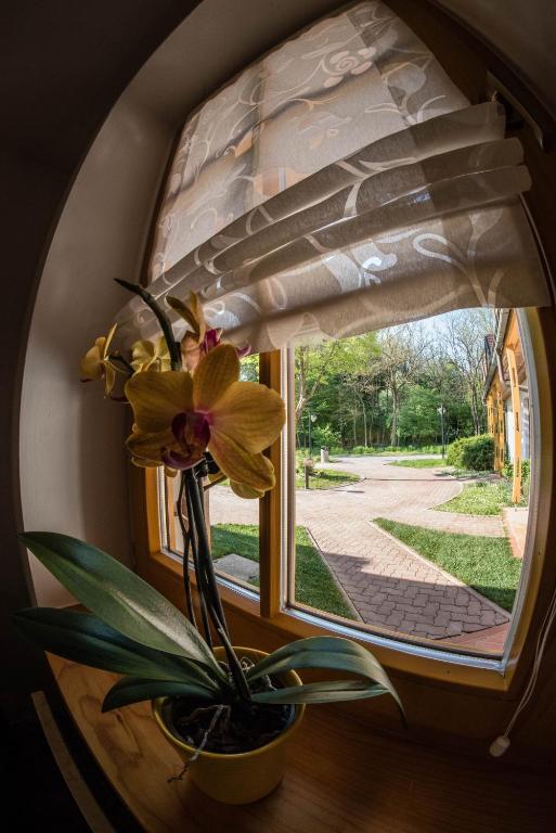 Zahrada ubytování Apartma Marjetica 2