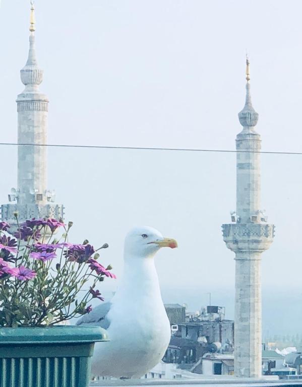 Fotografie z fotogalerie ubytování Grand Washington Hotel v destinaci Istanbul