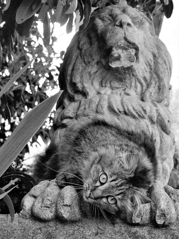 Armonie di Villa Incontri B&B - 17