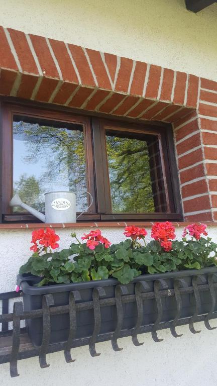 Vonkajšia záhrada v ubytovaní Wałpusz - Mazurski Domek z Duszą