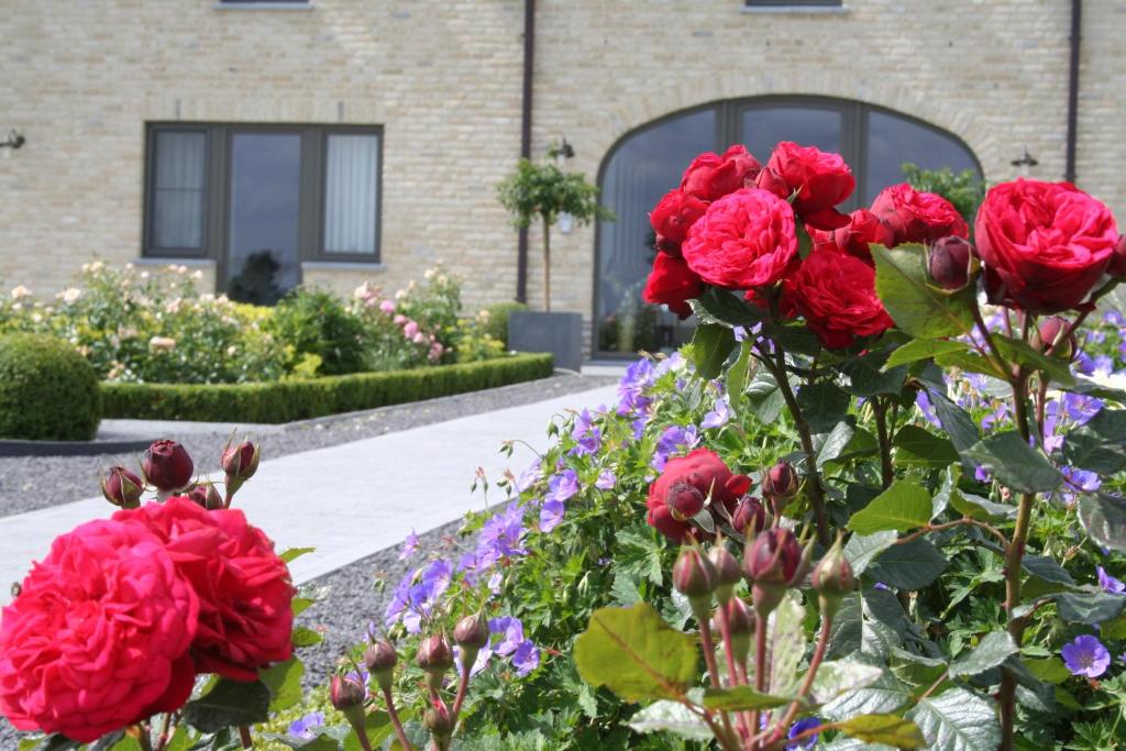 Zahrada ubytování B&B La Vie En Roses
