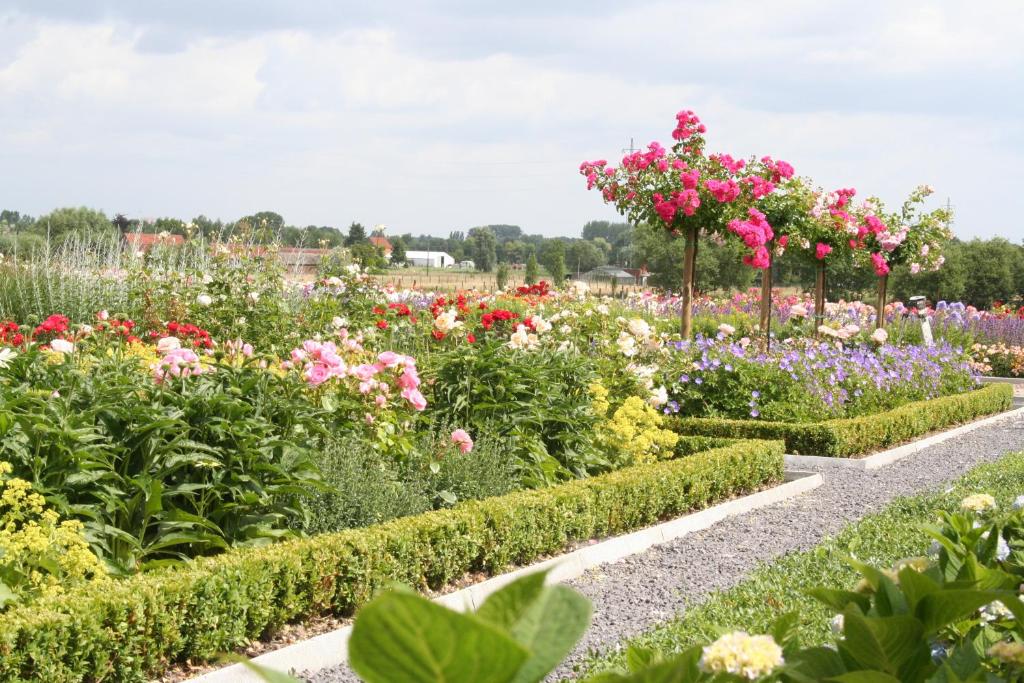 Zahrada ubytování B&B La Vie En Roses