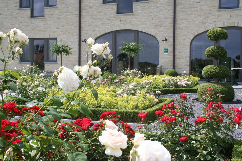 Zahrada ubytování B&B La Vie En Roses