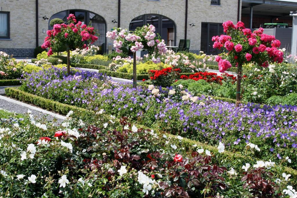 Zahrada ubytování B&B La Vie En Roses