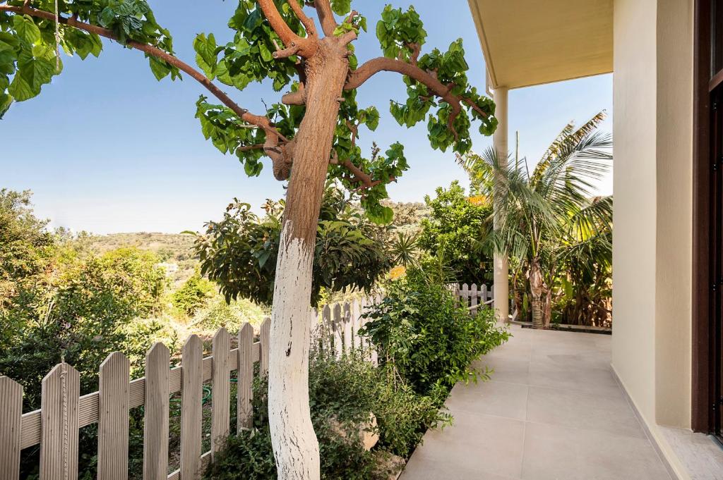 a tree in a yard next to a fence at Filio House in Stalos