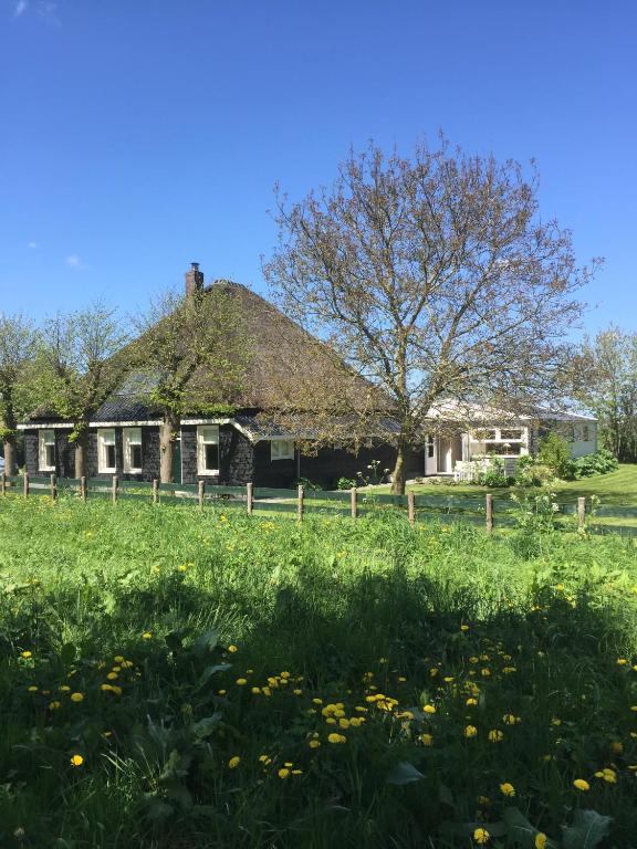 an old house with a thatched roof in a field at Lekerweg 32 in Wijdenes