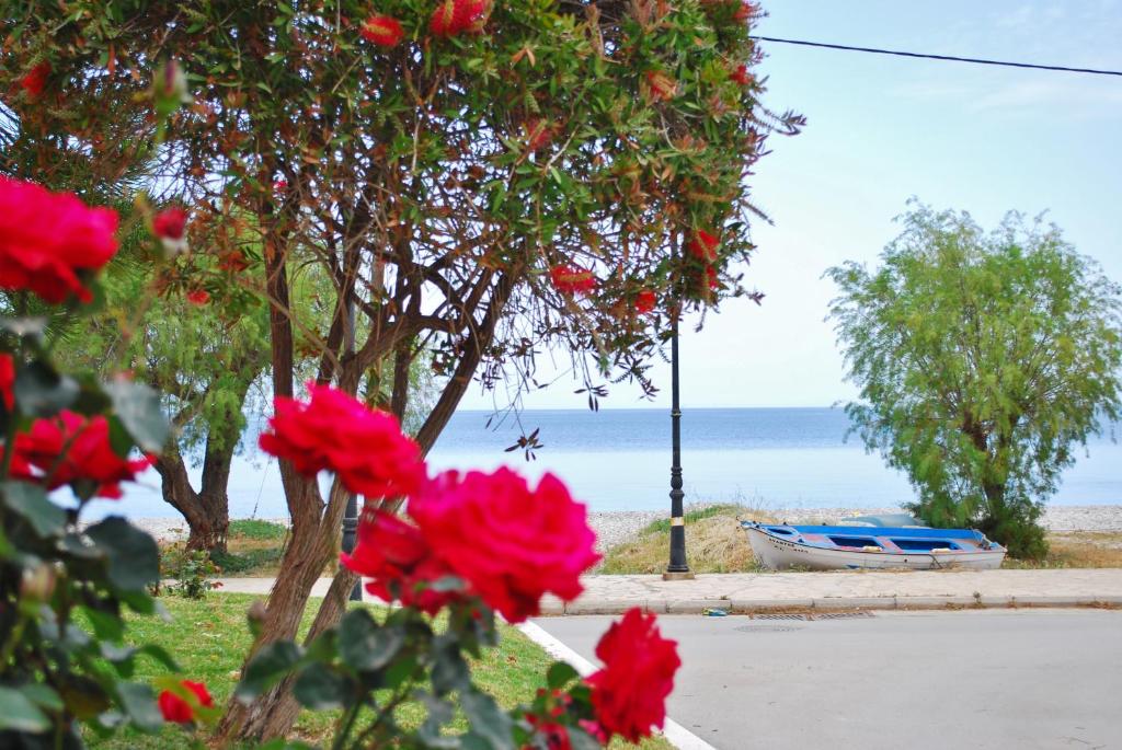 King Central Apartment Akrata