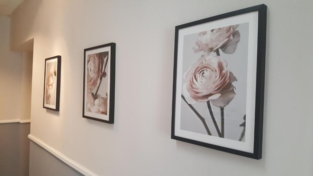 Boutique Hotel Kugel Wien - Resim 29