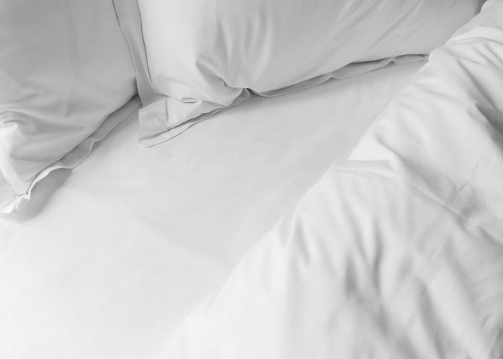 The Lodge Hotel - Putney - Resim 13