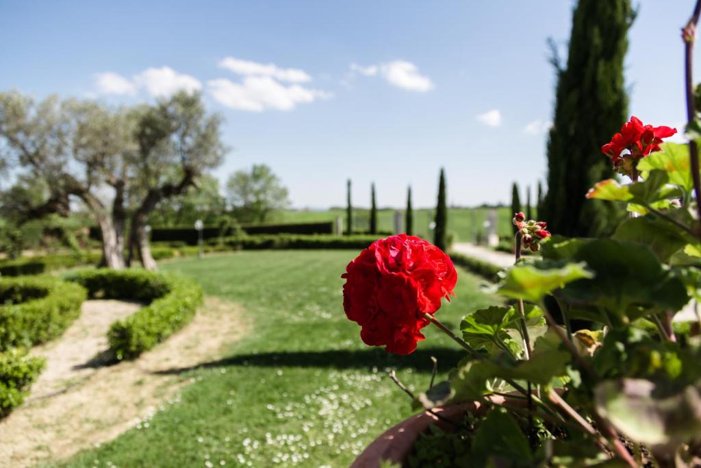Vonkajšia záhrada v ubytovaní Podere San Giuseppe