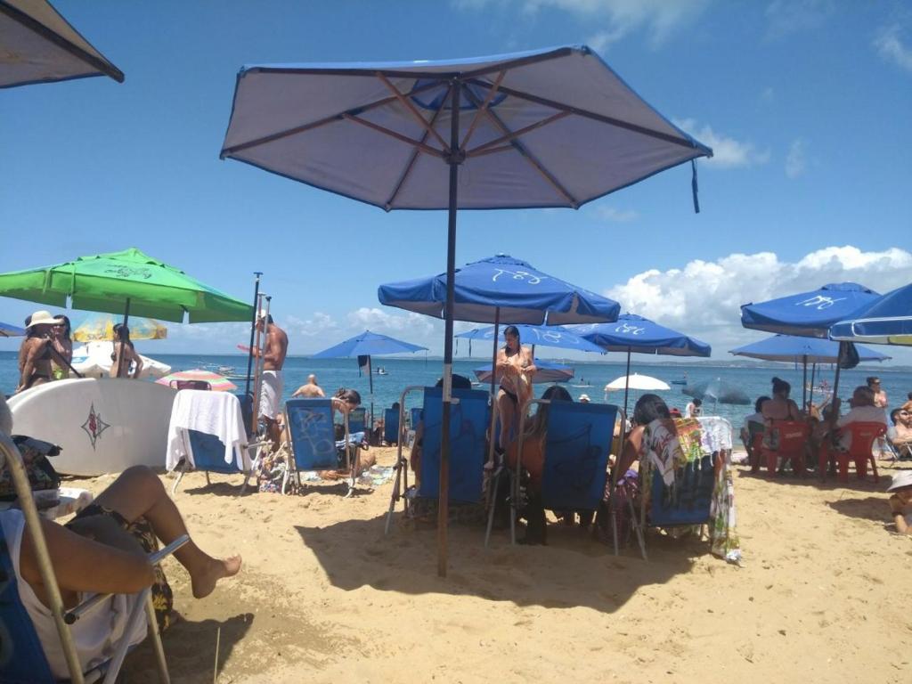 Temporada  Temporada