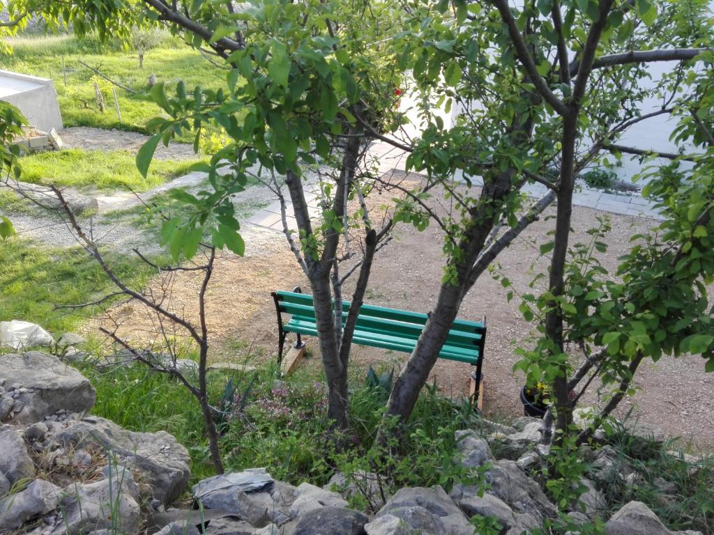 Príroda v okolí apartmánu