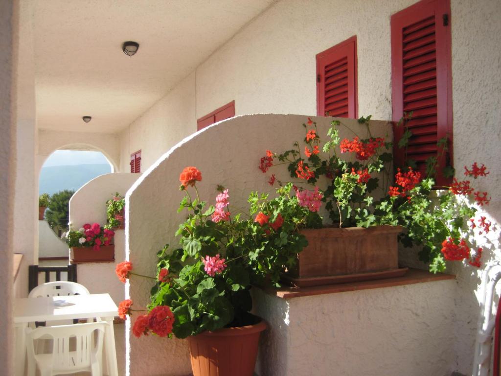 Fotografie z fotogalerie ubytování Albergo Villa Verde v destinaci Palinuro