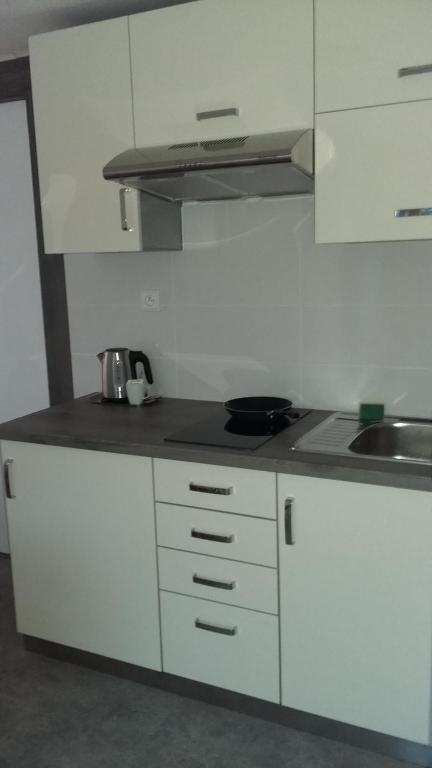 Kuchnia lub aneks kuchenny w obiekcie Apartment Moravský Kras