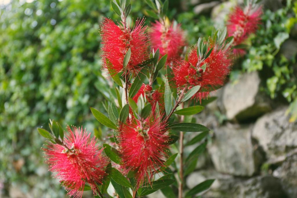 Galpon Boutique Aldea De Abaixo - 5