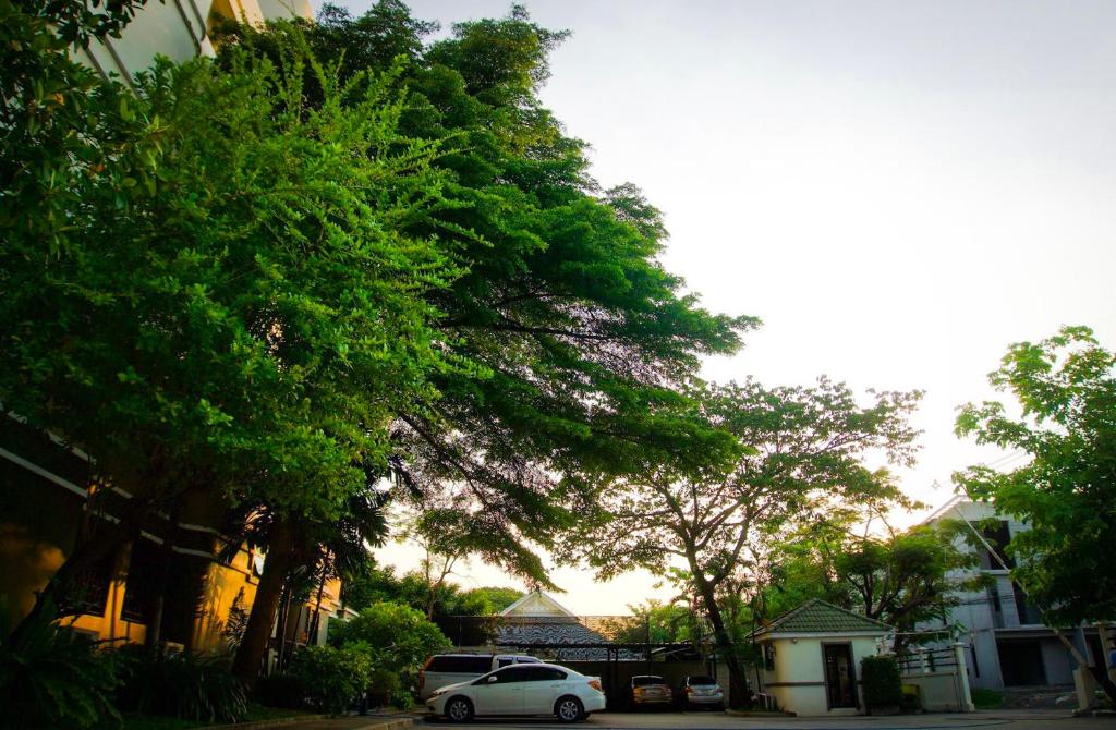 een witte auto geparkeerd voor enkele bomen bij Baan Boonanan Apartment in Ban Talat Rangsit