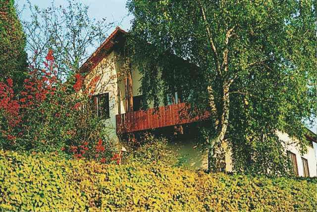 een huis met een balkon en een boom bij Gästehaus Heintz in Merzig