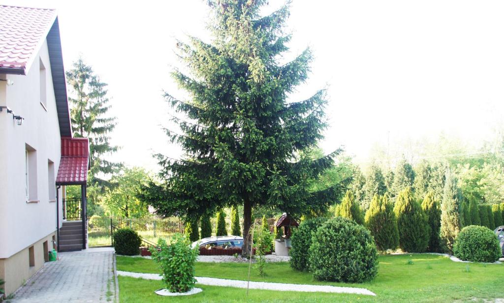 Zahrada ubytování Pokoje Gościnne Sandomingo