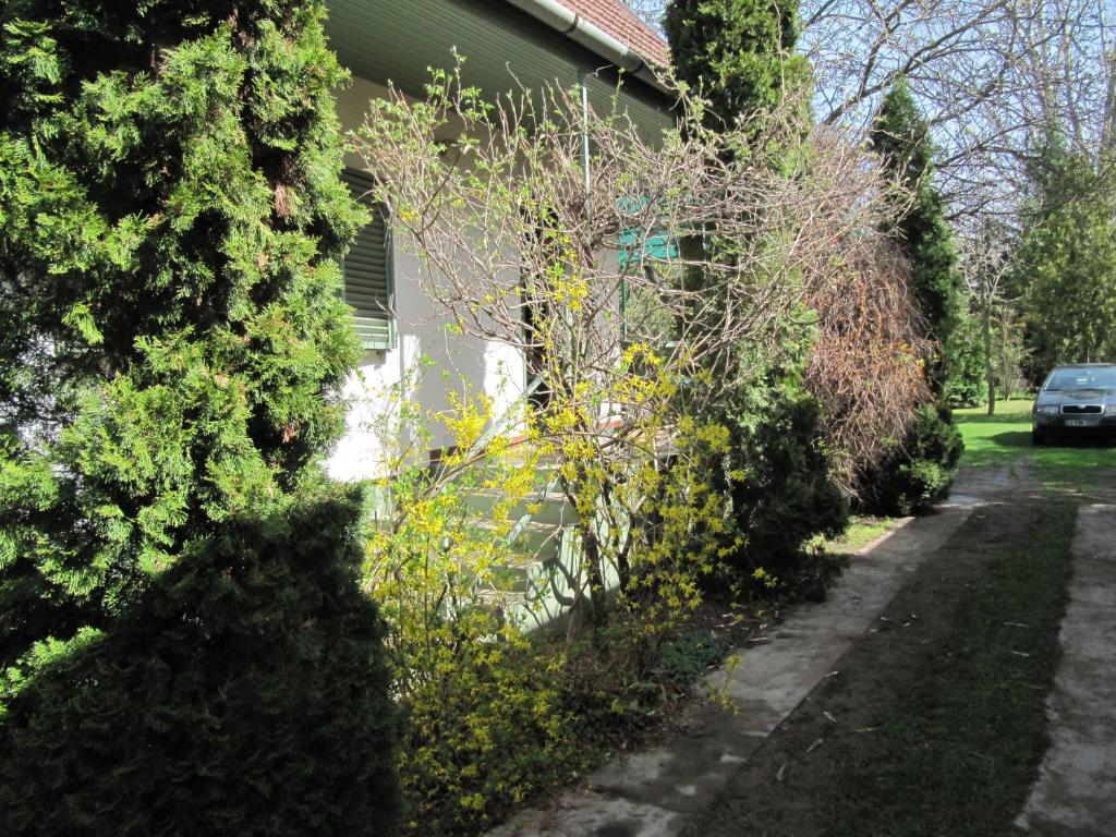 a house with trees and bushes next to a driveway at Babarczi Üdülőház in Kiskunmajsa