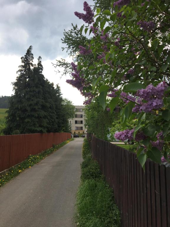Fotografie z fotogalerie ubytování Apartament Premium Delux ve Visle