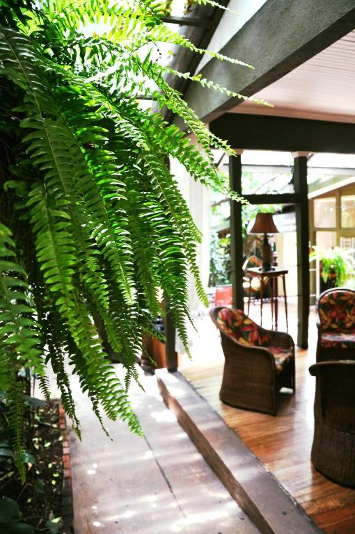 a porch with a green plant and two chairs at Hotel Aranjuez in San José