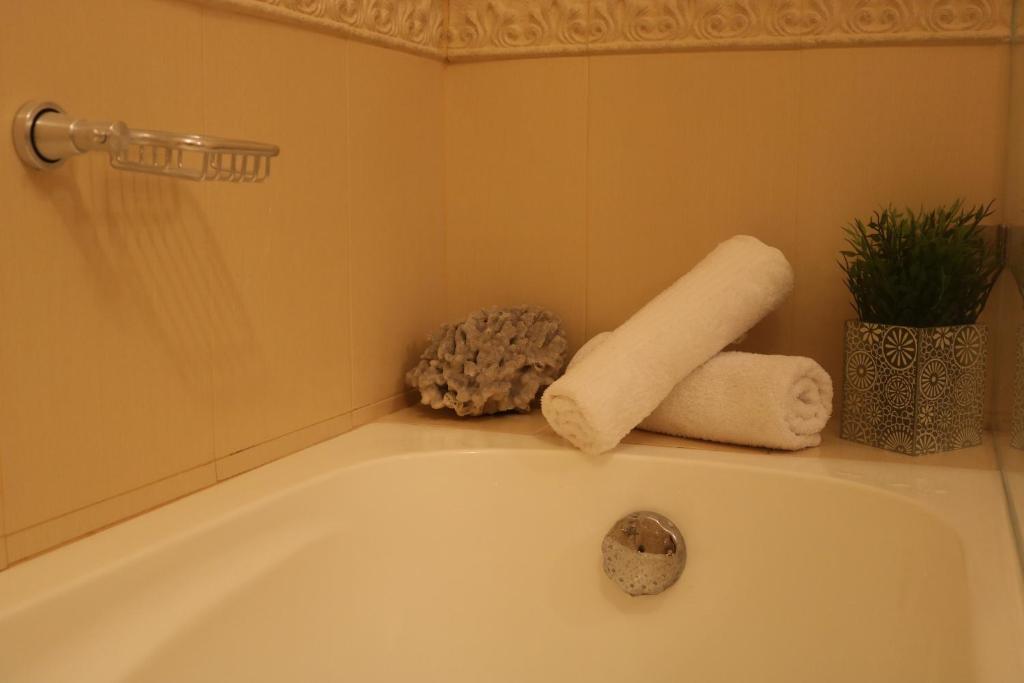 Belleview Apartment 5 - Image 3